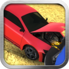 车祸模拟器：3D特技车安卓版 V1.2
