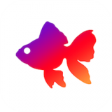 小金鱼存图安卓版 V1.1