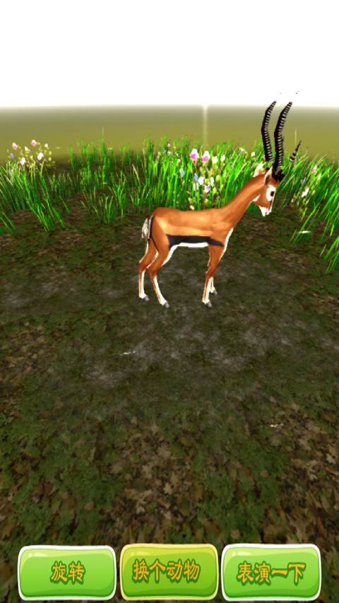 3D野生动物园安卓版 V1.0