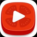 番茄视频安卓无限看版 V3.1.2