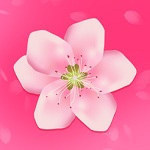 樱花草视频安卓在线版 V1.0