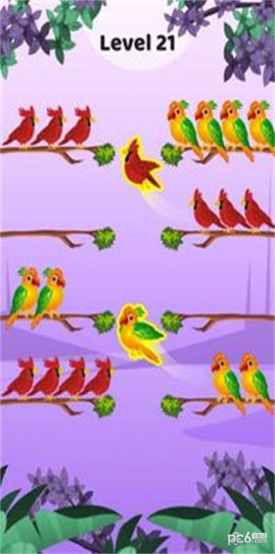 鸟类颜色排序安卓版 V0.3