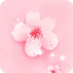 樱花草视频安卓免费高清版 V1.0