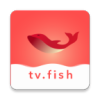 大鱼视频安卓官方版 V1.1.1