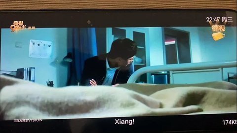 wtv直播安卓版 V2020