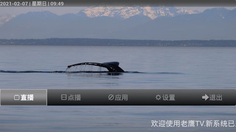 老鹰tv直播安卓破解版 V9.9