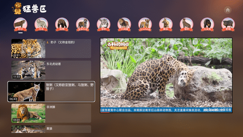 百科动物园tv安卓版 V2.1.468