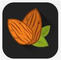 银杏视频安卓免费版 V1.1.1