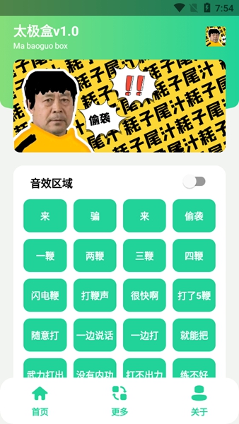 太极盒安卓版 V1.0