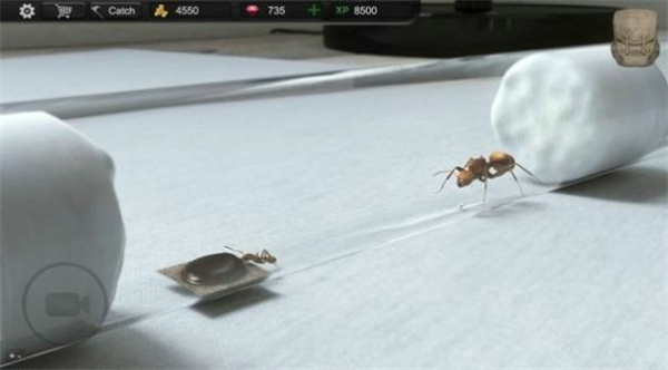 蚂蚁模拟大亨安卓汉化版 V2.6