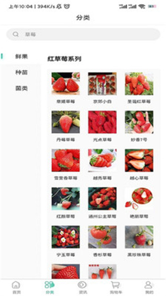 泉水草莓安卓版 V2.2.0