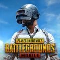 pubg国际服安卓正式版 V0.9.6.29