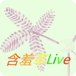 草莓秋葵香蕉丝瓜绿巨人安卓免费版 V5.76