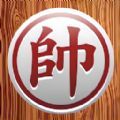 中国象棋棋逢对手安卓版 V1.0.1