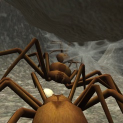 蜘蛛殖民地模拟器安卓版 V1.5