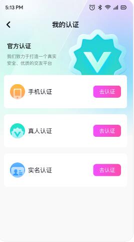 连鲤交友安卓版 V1.0