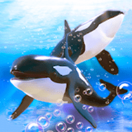 鲸鱼海底大作战安卓版 V1.0