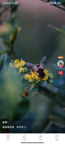 糯米短视频安卓版 V1.3.0