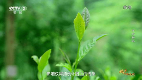 星火直播安卓tv版 V1.0.20