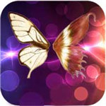 夜蝶直播ios免费版 V1.0