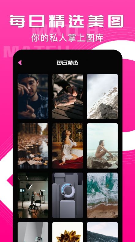 小鸟主题壁纸安卓版 V1.1
