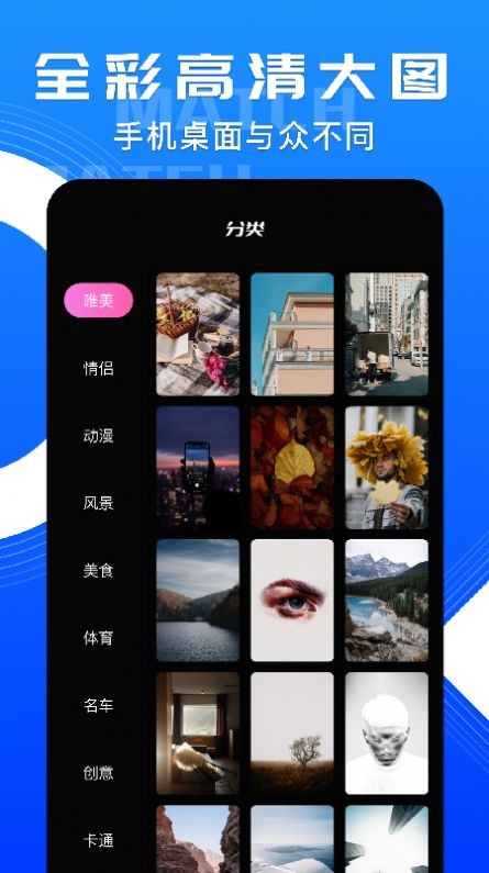 小鸟主题壁纸安卓版 V1.1
