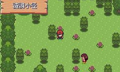 口袋妖怪胜利之火安卓版 V2020.10.21.12