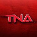 tna拳击大赛2023安卓版 V1.0.1