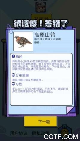 飞鸟乐园安卓版 V1.5.1