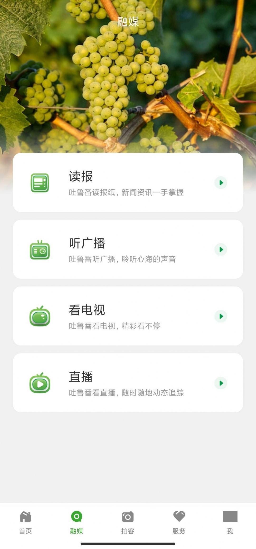 葡萄熟了资讯app安卓正式版 V1.0