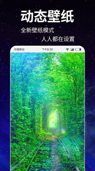 动态壁纸4k安卓破解版 V1.0.1
