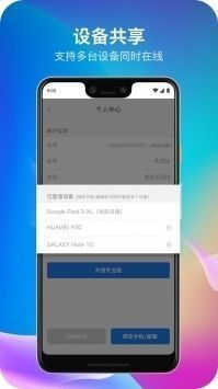 老王vqn安卓版 V1.0