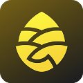 松果出行安卓免费版 V5.11.0