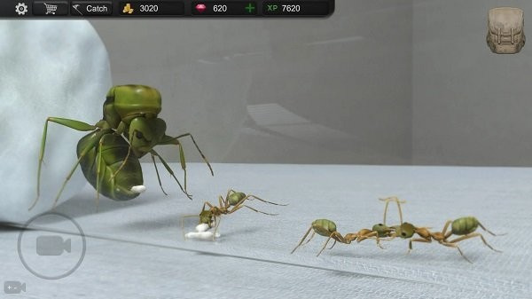 蚂蚁模拟大亨安卓中文汉化版 V2.6