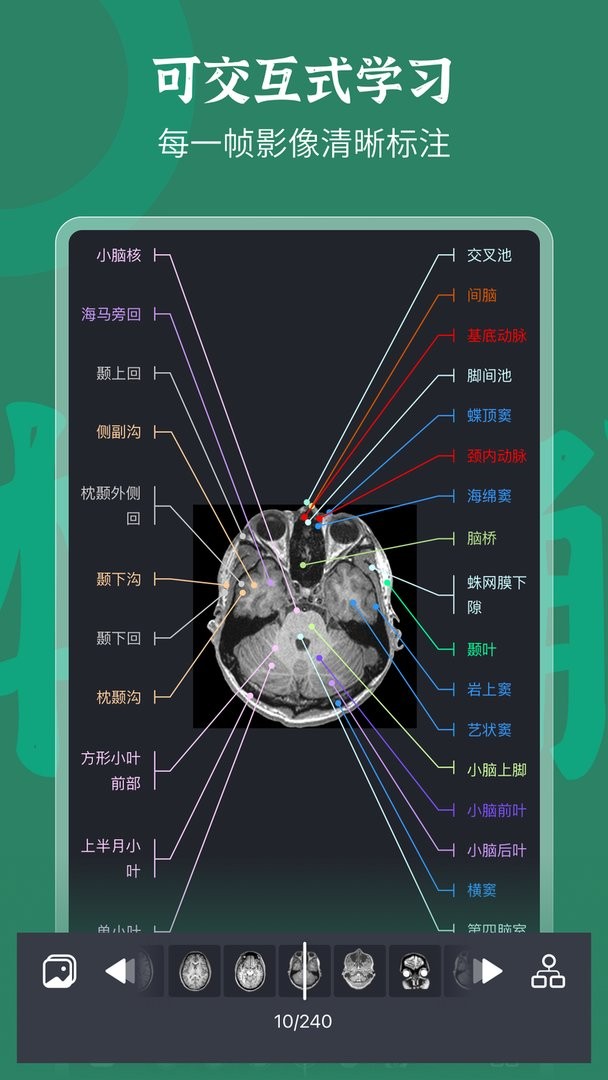 万康人体解剖安卓免费版 V3.0.4