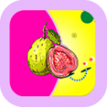 芭乐视频ios免费无广告版 V1.0