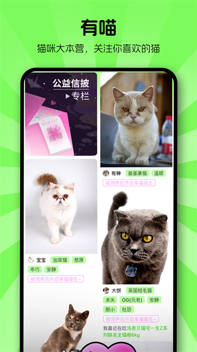 附近有喵安卓版 V1.2.50