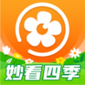 妙看四季安卓官方版 V1.0.0