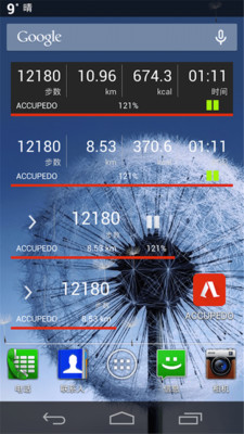 Accupedo计步器安卓版 V9.0.5.G3
