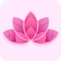 桃花岛视频安卓免费版 V1.0