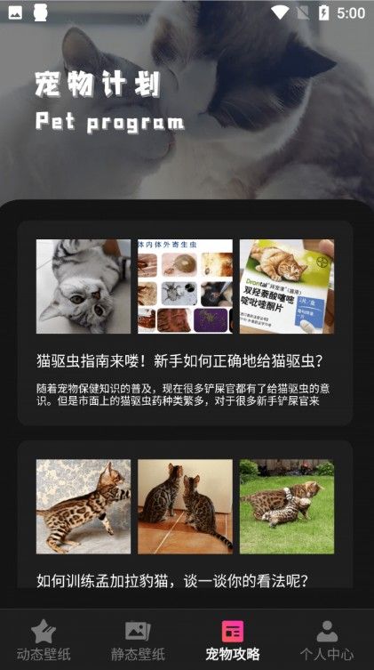 猫咪壁纸安卓版 V 1.1