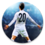 足球世界杯安卓汉化版 V1.11.1