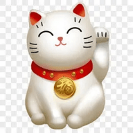 酷猫tv安卓会员简约版 V1.0.6