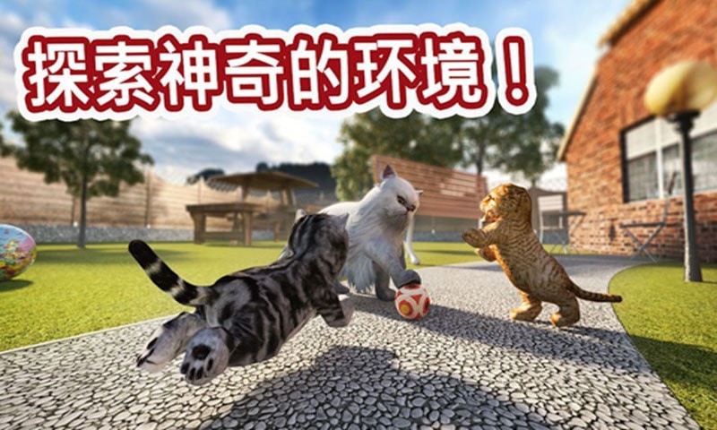 迷你小猫城市生存安卓版 V188.1.0.3018
