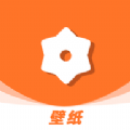 卡哇伊壁纸安卓去广告版 V1.1.6