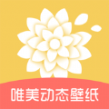 唯美动态壁纸安卓官方版 V1.0.0